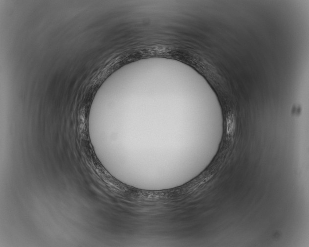 X0000111011011200906191202