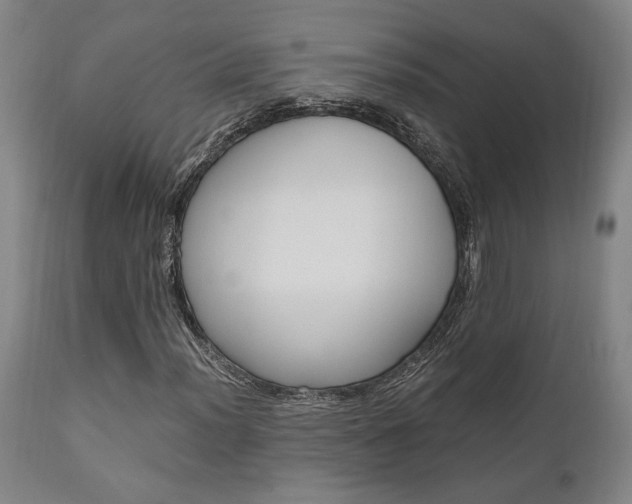 X0000111011012200906191202
