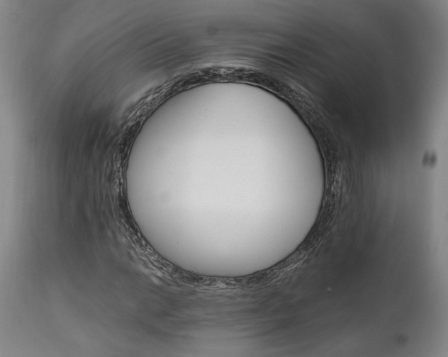 X0000111011014200906191202
