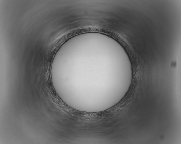 X0000111011015200906191202