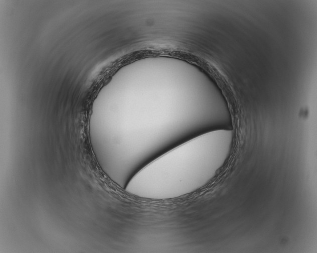 X0000111011016200906191203
