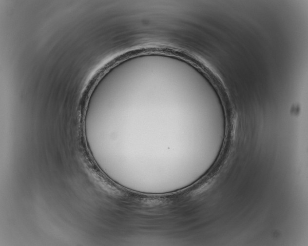 X0000111011021200906191203