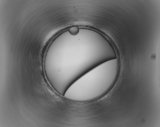 X0000111011022200906191203