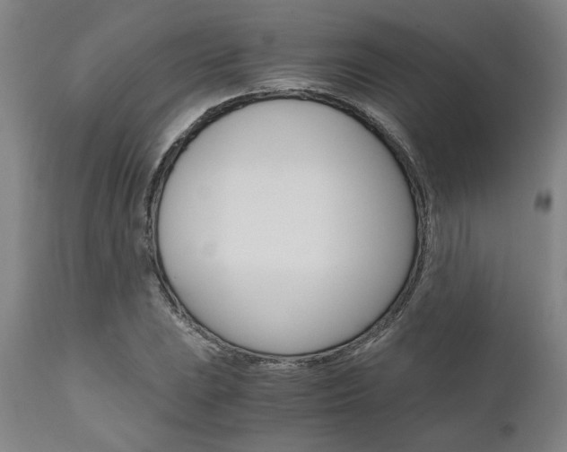 X0000111011023200906191203