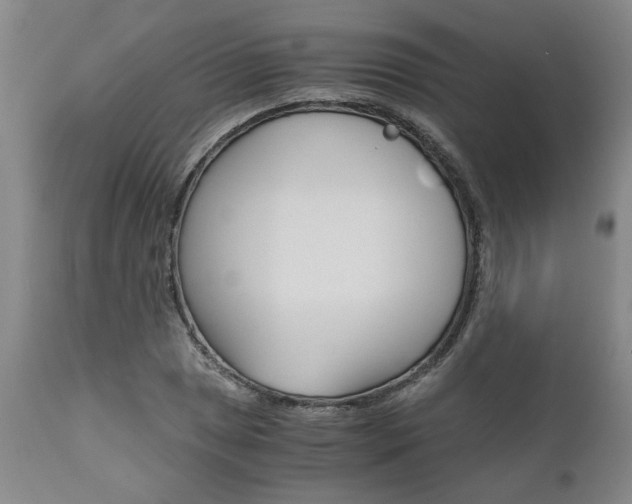 X0000111011025200906191203