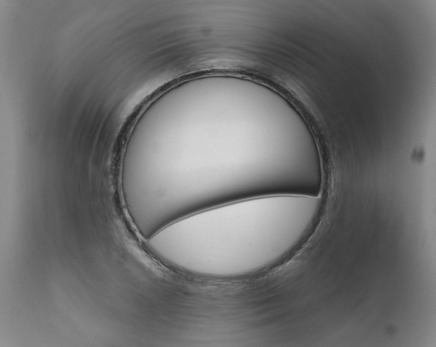 X0000111011026200906191203