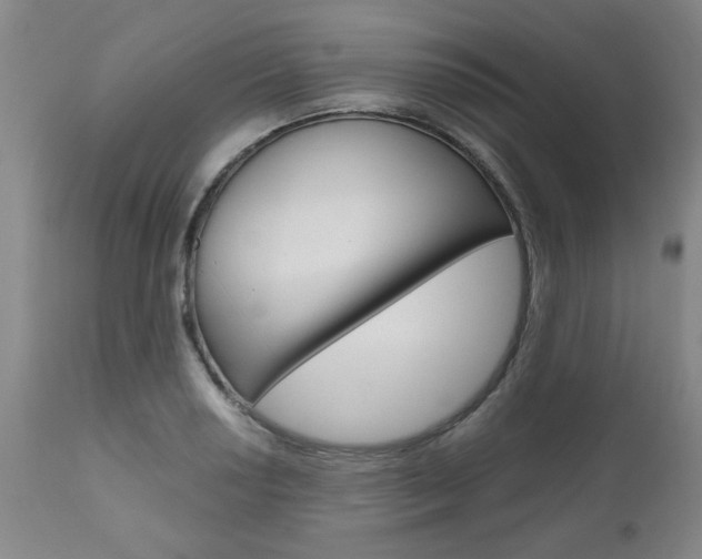 X0000111011034200906191203