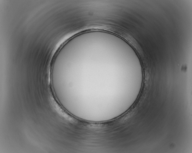 X0000111011036200906191203