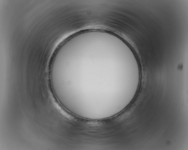 X0000111011037200906191203