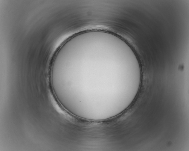 X0000111011038200906191203