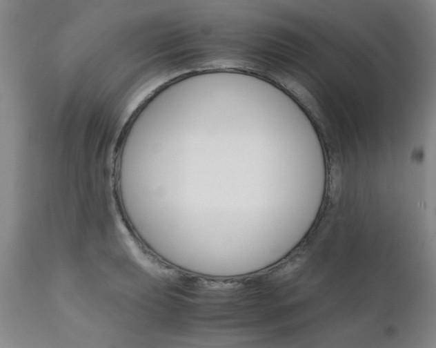 X0000111011039200906191203