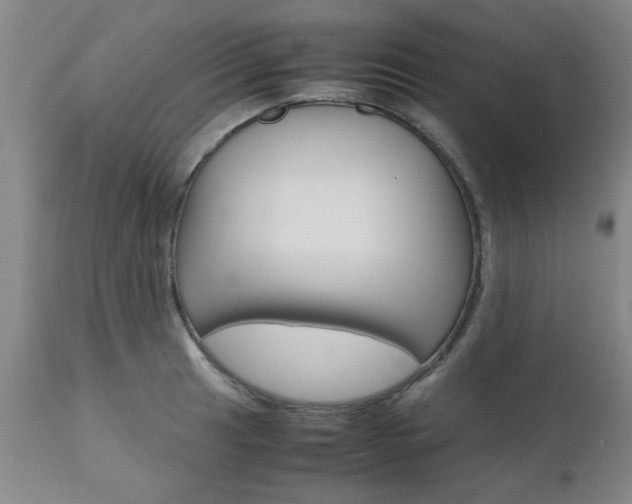 X0000111011041200906191203