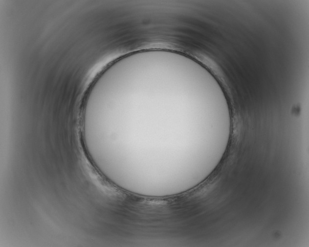 X0000111011043200906191203