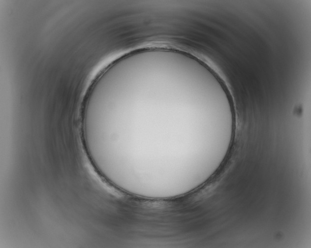 X0000111011045200906191203
