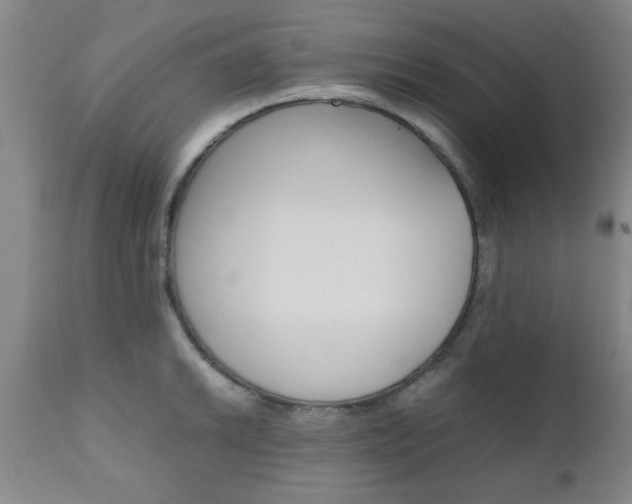 X0000111011046200906191203