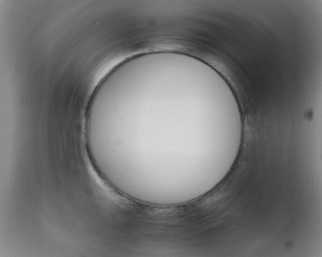 X0000111011047200906191203