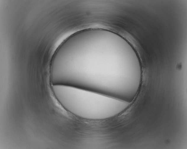 X0000111011048200906191203
