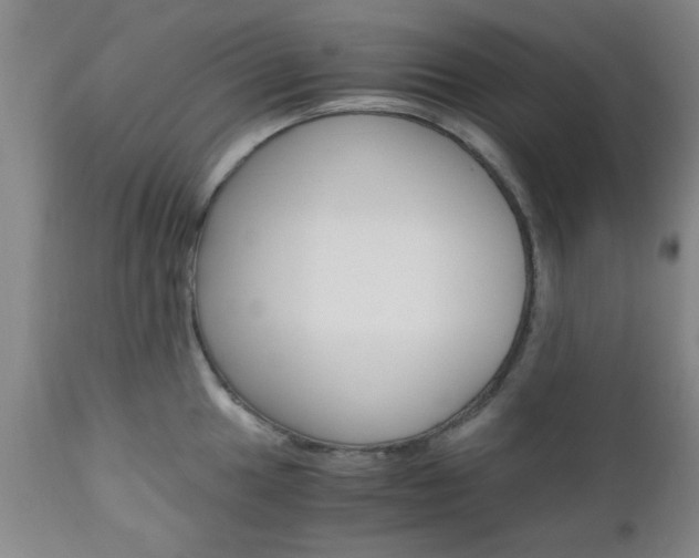 X0000111011049200906191203