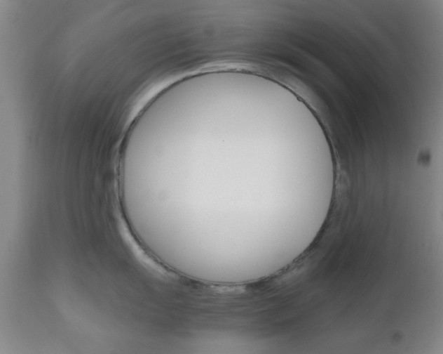 X0000111011055200906191203