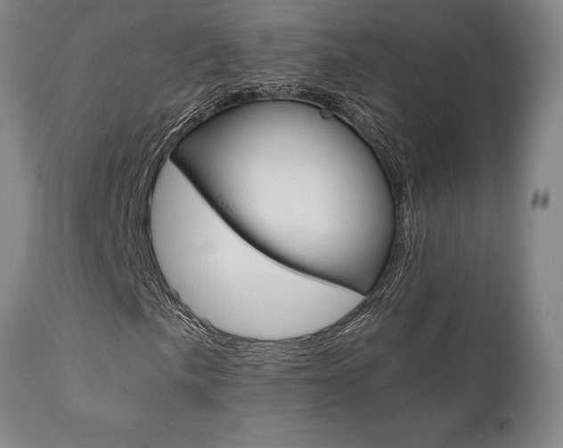X0000111011057200906191202