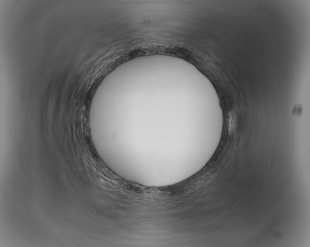 X0000111011059200906191202
