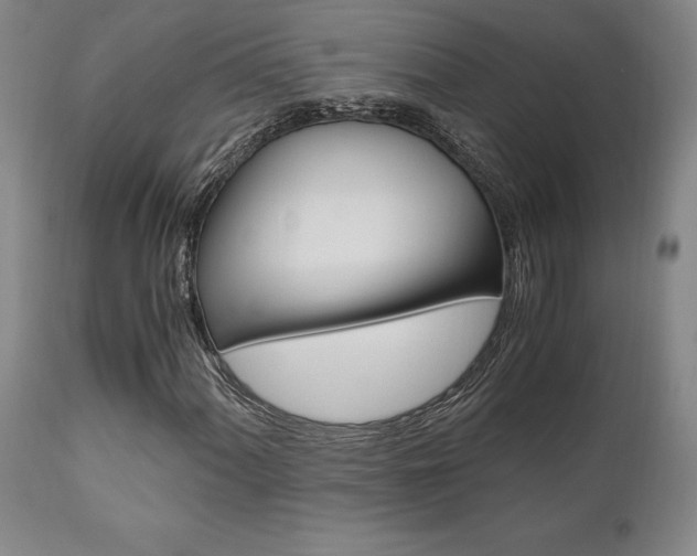 X0000111011060200906191202