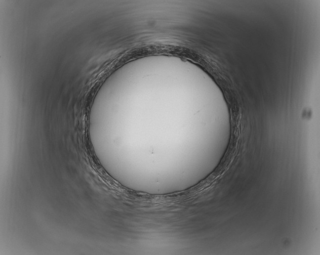 X0000111011061200906191202
