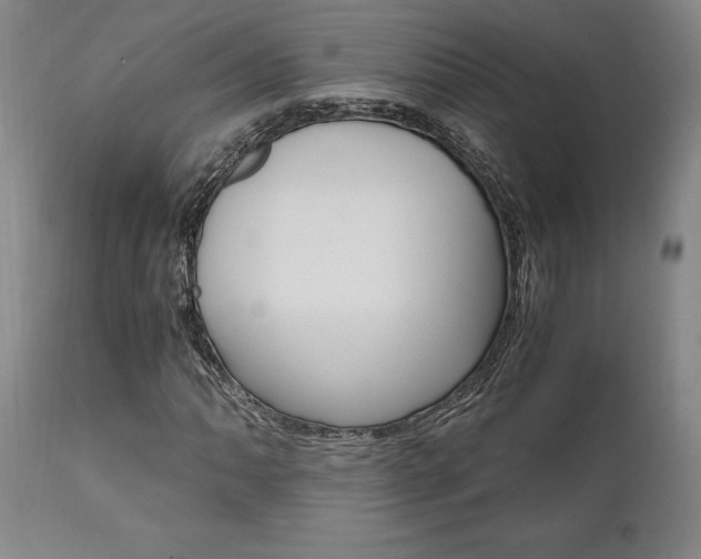 X0000111011062200906191202
