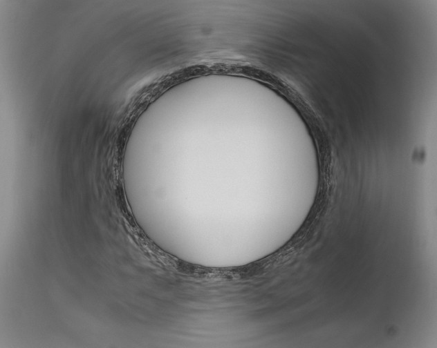 X0000111011063200906191202
