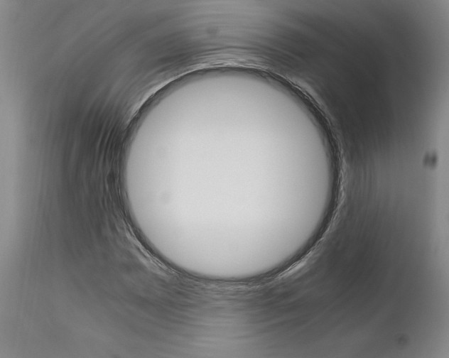 X0000111011065200906191202