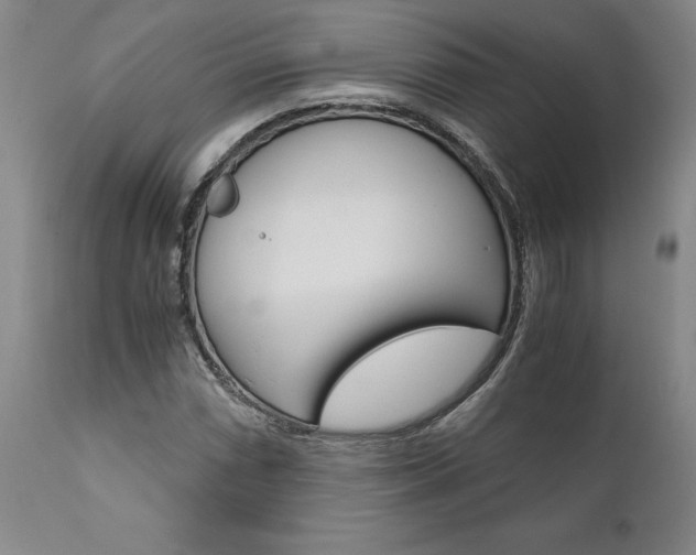 X0000111011066200906191202