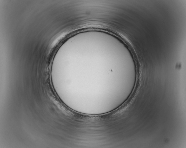 X0000111011067200906191202