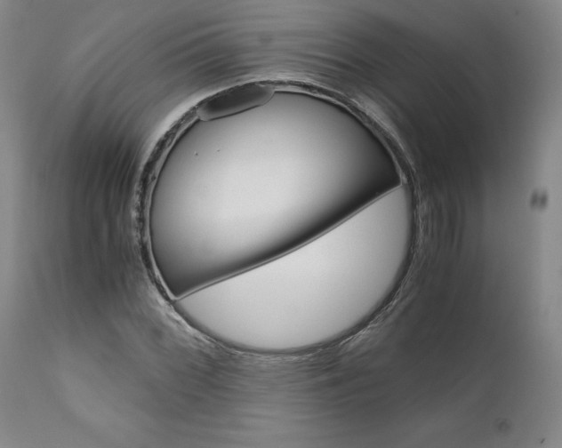 X0000111011068200906191202