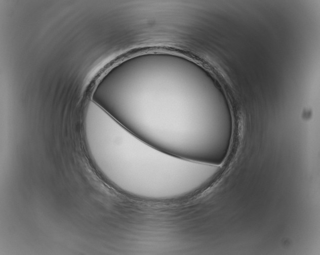 X0000111011069200906191202