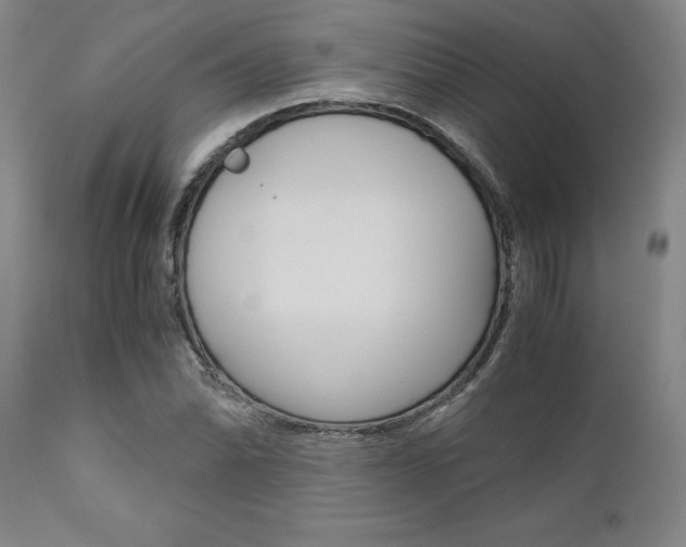 X0000111011070200906191202