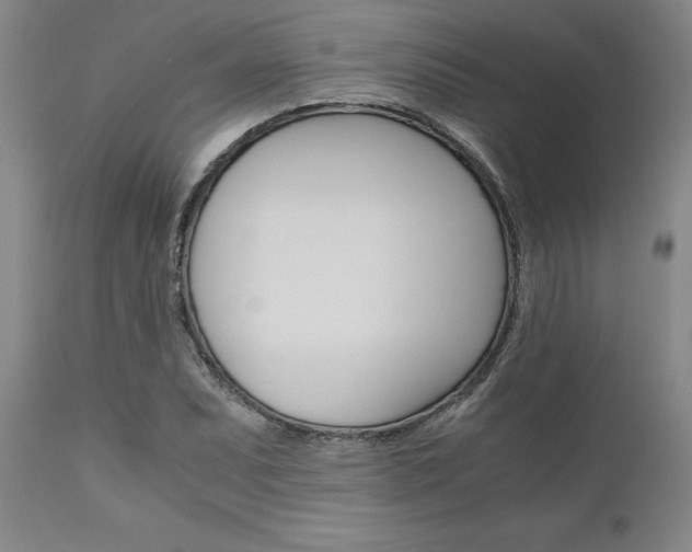 X0000111011071200906191202