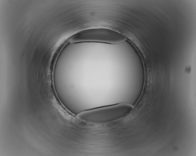 X0000111011072200906191202