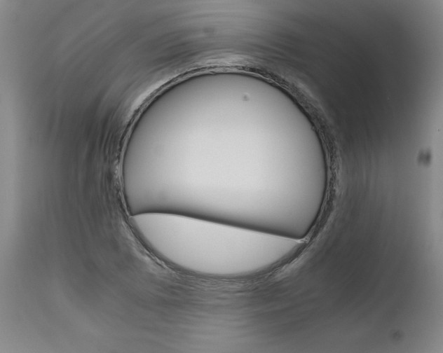 X0000111011073200906191202