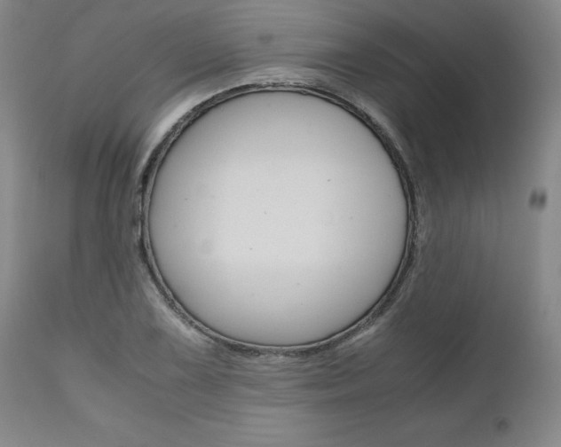 X0000111011075200906191202