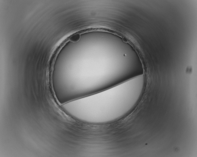 X0000111011076200906191202