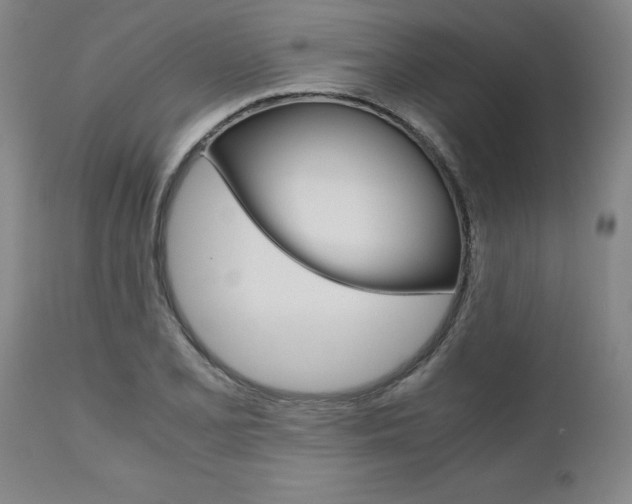 X0000111011077200906191202