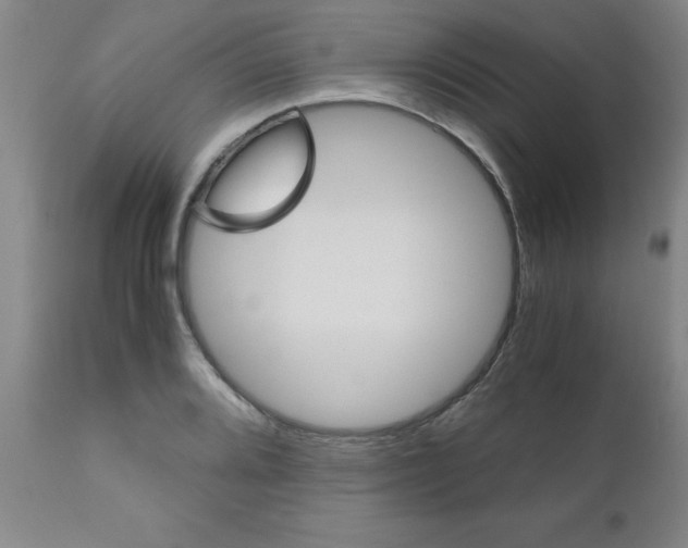 X0000111011080200906191202