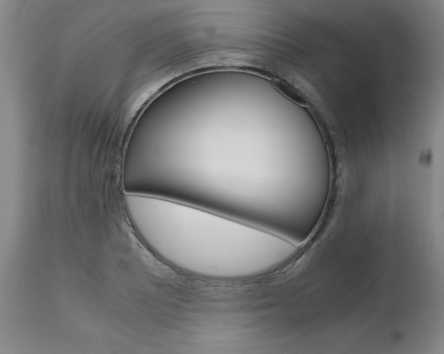 X0000111011081200906191202