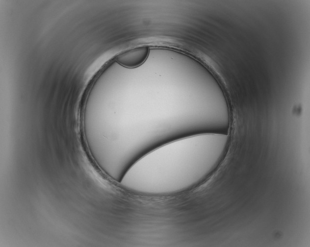 X0000111011082200906191202
