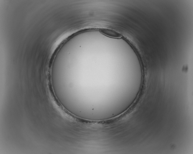 X0000111011085200906191202