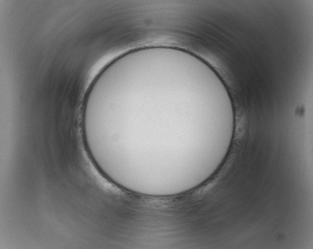 X0000111011086200906191202