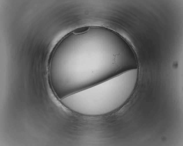 X0000111011088200906191202