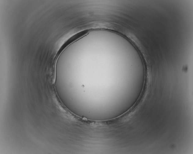 X0000111011089200906191202