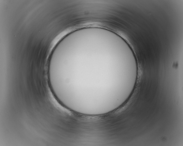 X0000111011090200906191202