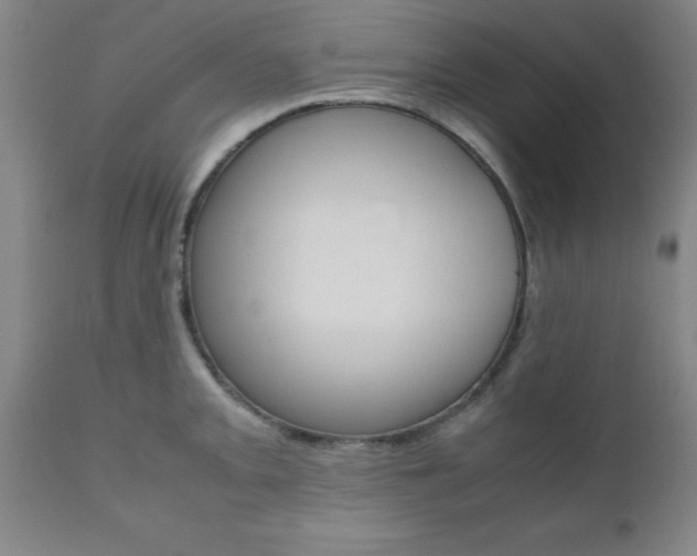 X0000111011093200906191202